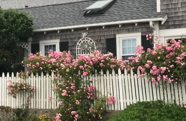 Oceanfront sur Buzzards Bay