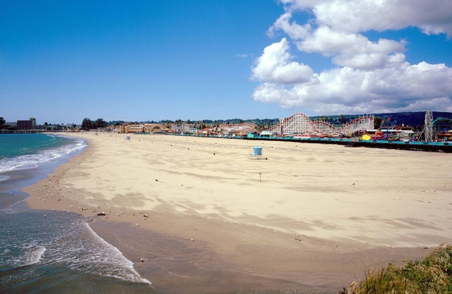 OCEANFRONT @ SANTA CRUZ BEACH * Confidentialité complète * Cour arrière, plage, vues, CHIEN OK!