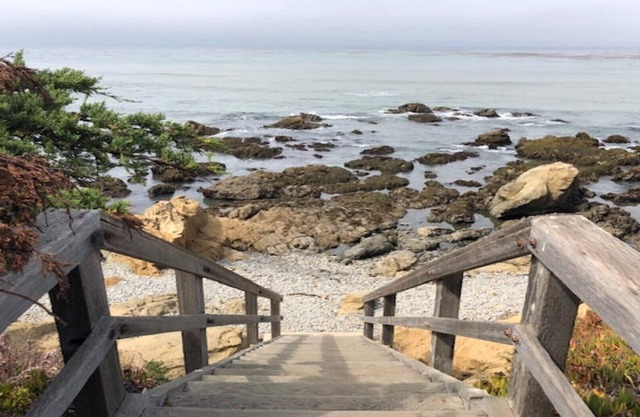 Oceanside Oasis à Cambria Beach!