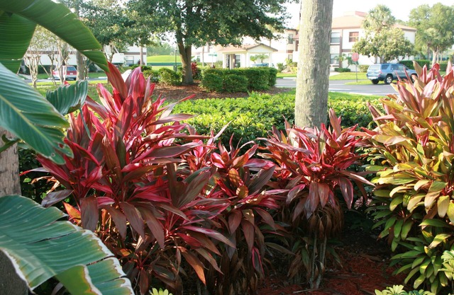 OCT ouvert. nites gratuites, rez-de-chaussée 2/2-Gated, piscines WiFi-GOLF, -Universal 30 min.