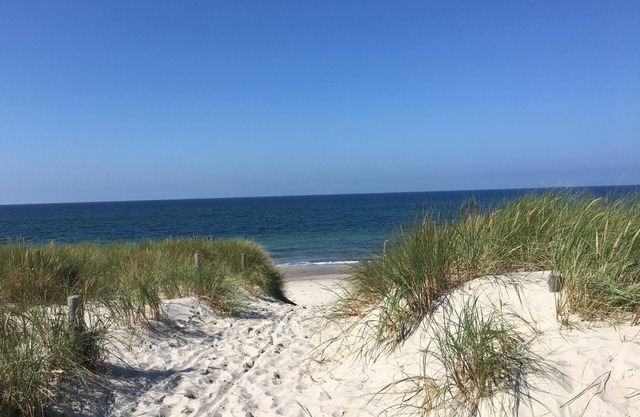 * Böddeker, Lidia et Dieter GM 69137 - Appartement dans la forêt côtière de la mer Baltique