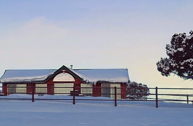Off The Grid Cabin avec Elk Herd (et des ânes et des chevaux)