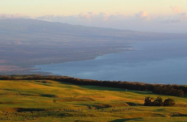 Ohana Hale au Kahua Ranch - Ranch Ranch Paradise à Kohala -