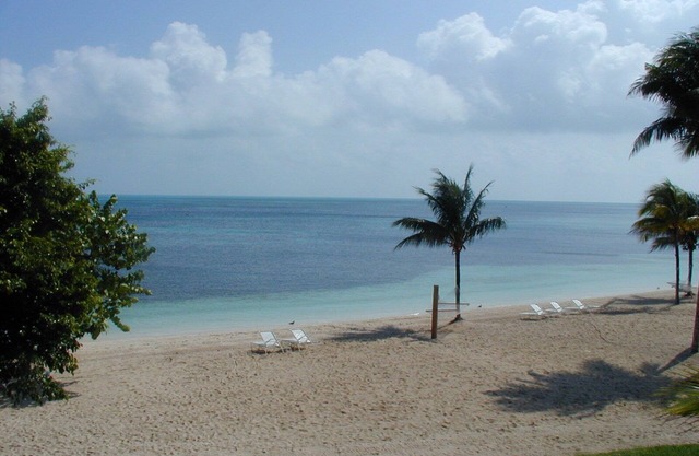 Old Bahama Bay Oceanfront Cottage Suite! Une, deux ou trois suites adjacentes