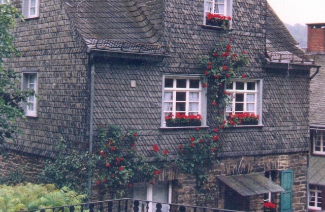 Vieux Direktorenhaus la fabrique de soie