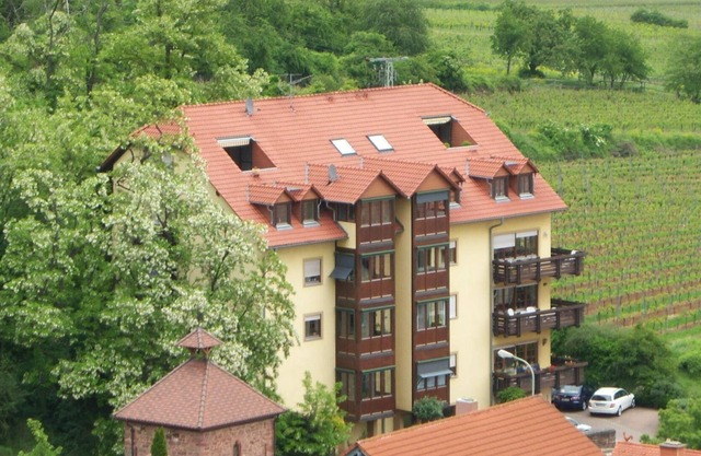 Old malting Neuleiningen - Appartement à 3 lits