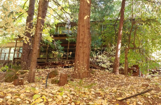 Plaisir de la vieille école à Lake Mont Pines Creekside Cabin
