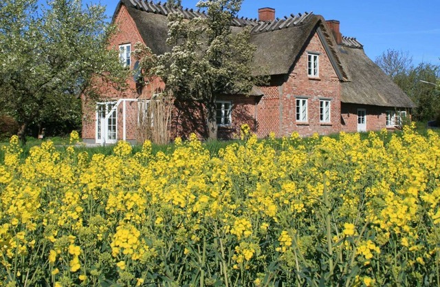 Maison de vacances Altes Schusterhus - Lukas Schmeling Altes Schusterhus