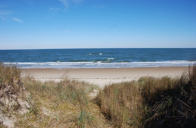 Old Time Beach Front Cottage - The Beach is your Backyard! (Pet Friendly) by RedAwning