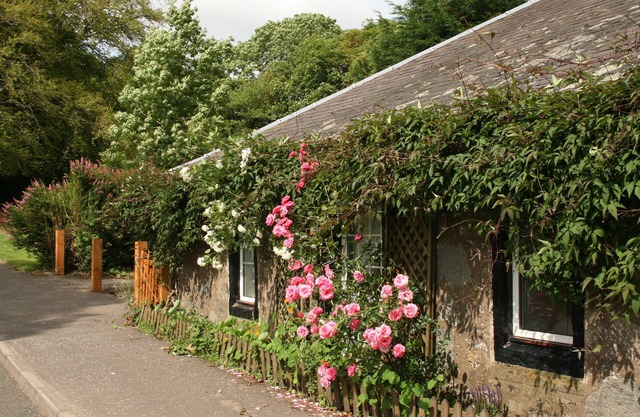 Old Toll Cottage - Charmant cottage restauré - grand jardin Minimum 3 jours
