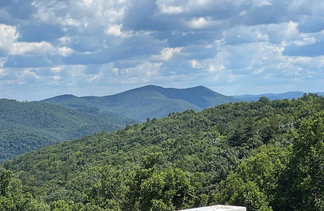 Olde Beau Golf / Blue Ridge Mountains Golf / Resort 1BR 1BA Condo