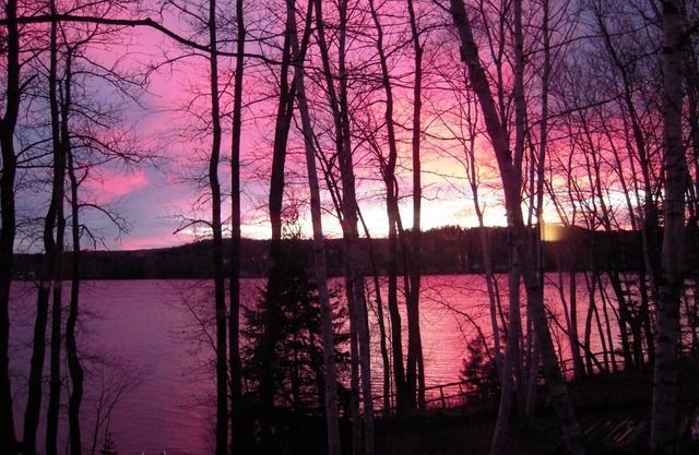 On Eagle Lake located on ATV and Snowmobile trails.