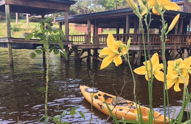 Une fois dans une vie Toledo Bend