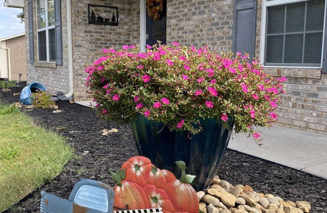 One level 3 BR/ 2 BA Home in Seymour!!!