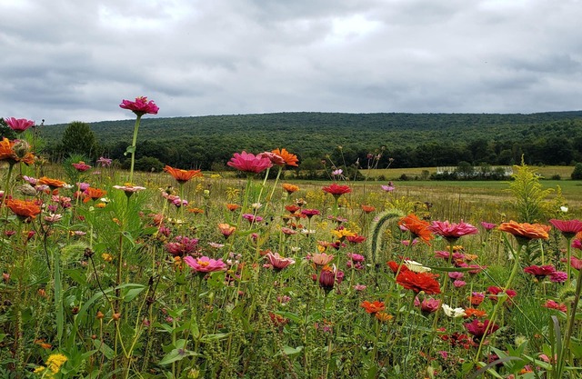 Unique, unique, belle cabane rustique dans les Laurel Highlands