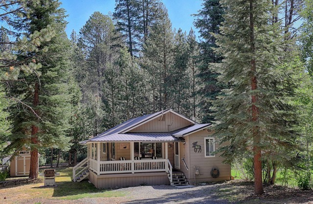 Only minutes to Heavenly, Pet Friendly Cabin just steps to The River - Surround Yourself in Nature and Cozy Comfort!
