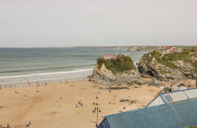 ONSHORE 7, les animaux de compagnie à Newquay, Réf 998639