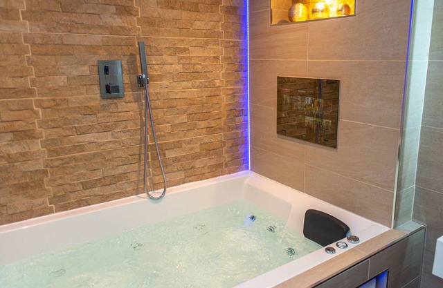 Appartement-Supérieure-Salle de bain privée séparée-Jacuzzi - Apartment 2
