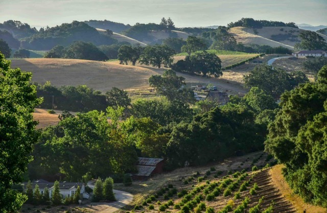 Orchard Hill Farm - Confort élégant dans West Side souhaitable Paso Robles