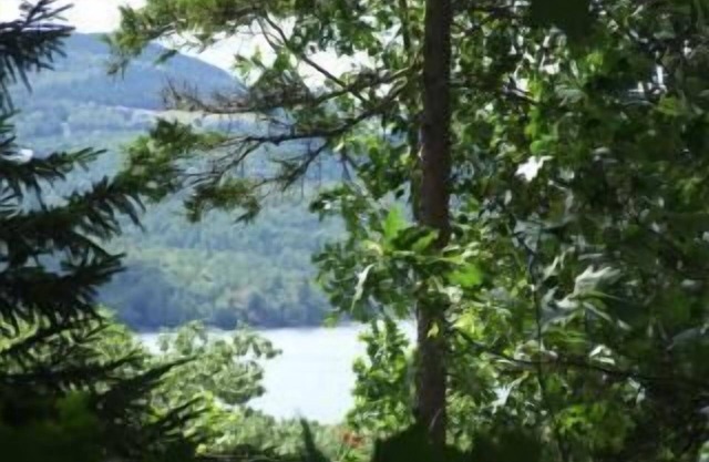 Cabine Lucerne-dans-Maine originale