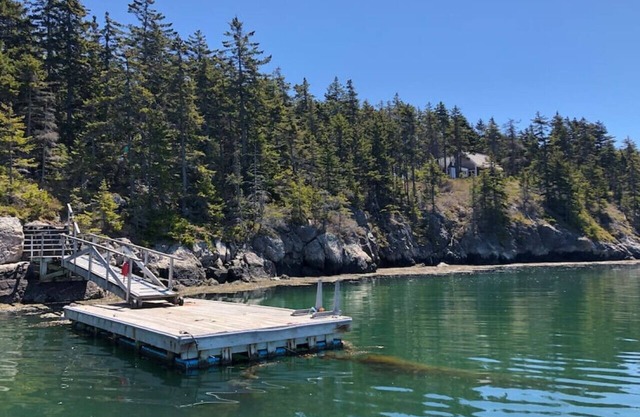 Au-dessus de tout, avec des vues spectaculaires sur le nid Penobscot Bay-Osprey