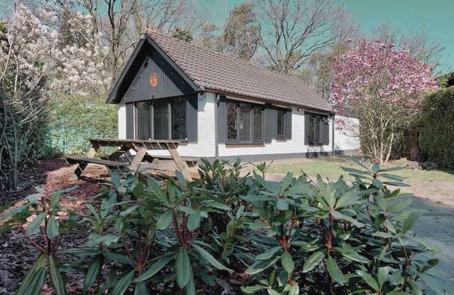 OLD Veluwe - vacation home - forest