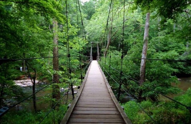 Outdoor lovers! Our sleek 3 Bed flat is only minutes to the Eno River.