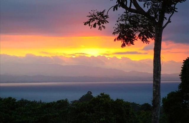Vues sur les montagnes, la forêt tropicale et l'océan blanc. La meilleure expérience CR.