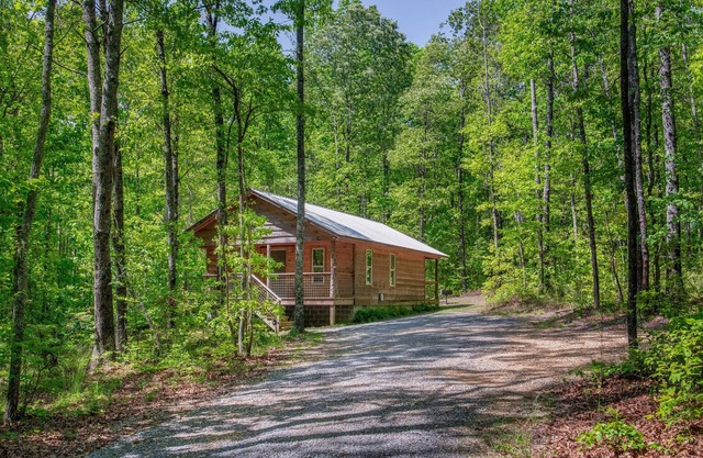 Owl's Nest: cozy cabin centrally located w/hot tub & fire pit