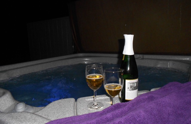 *** Propriétaire Mngd & Shows! Des invités heureux! Mises à jour Thru-Out & PRIVATE Hot Tub!