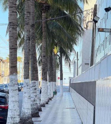 Pé na Areia Praia da Mirim