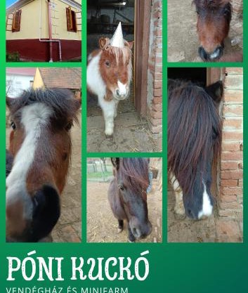 Póni Kuckó Vendégház és Minifarm