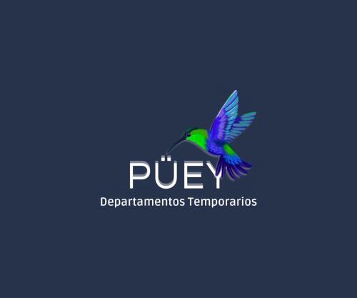 PÜEY