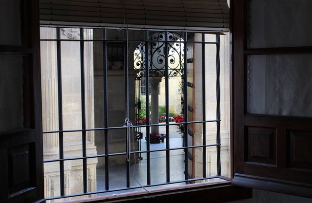PALACIO DE ORIVE-CASCO HISTÓRICO / PARKING EN OPTION (CHECK OFFRE 3 NUITS)