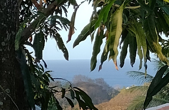 Palhoça da Colina