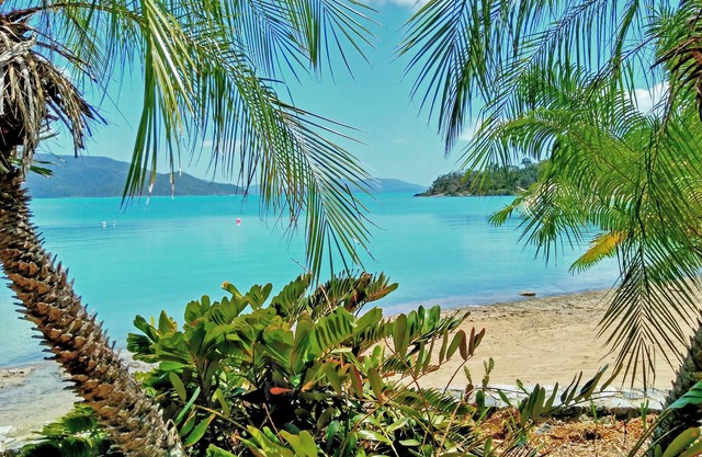 Palm Bay Resort