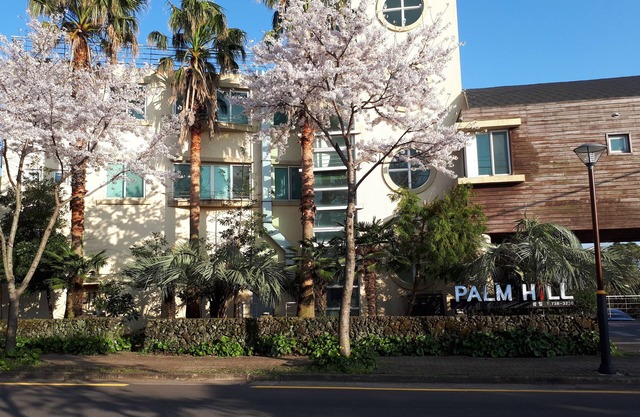 Palm Hill Pension