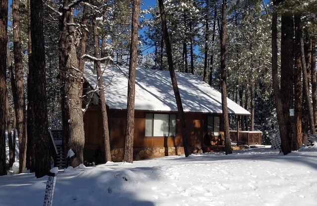 Cabine confortable rénovée - Pas de dépôt pour animaux de compagnie - Billet NFL inclus - Palms to Pines