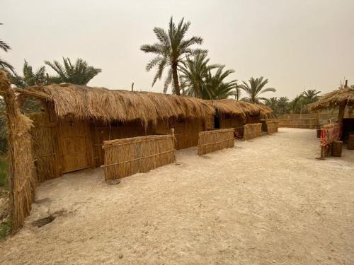 Paloma Camp