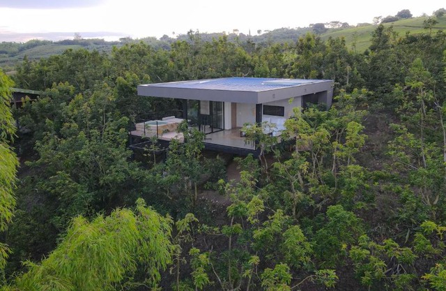 Palta Hotel
