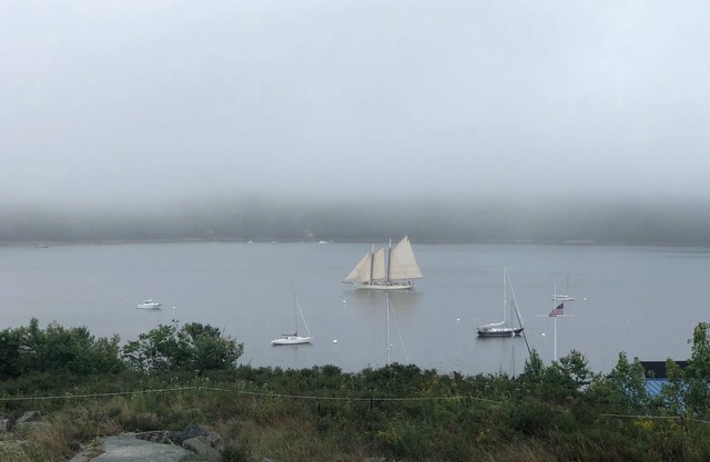 Vue panoramique sur l'océan et la montagne de Panaramic Somes Sound