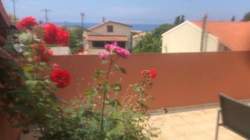 Pandora's Corfu Apartments