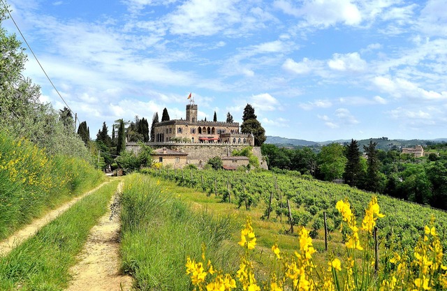 Château entier au coeur de la Toscane. L'endroit idéal pour les mariages et les événements