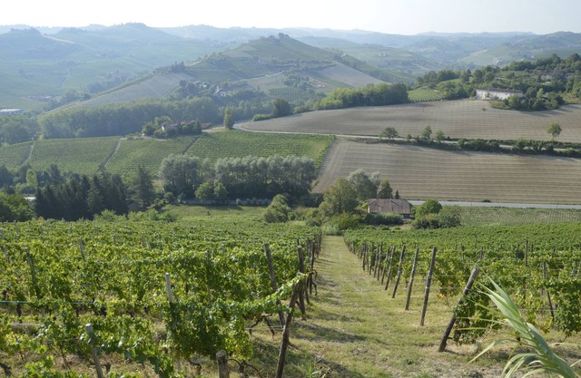 VUE PANORAMIQUE, RELAXANT, BIKE, FINE-FOOD, VIN ET PLUS. Chambres d'hôtes à Alba
