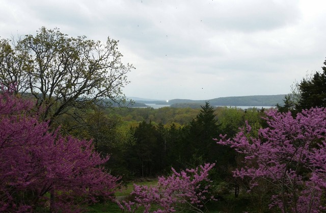 Vue panoramique sur le lac Tenkiller depuis la maison sur la colline