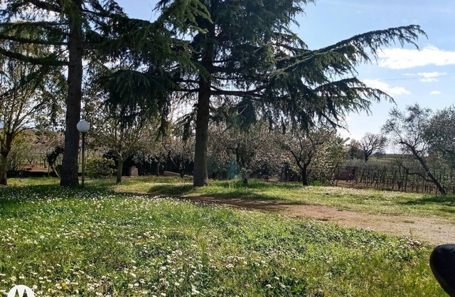 PANORAMIC VILLA
