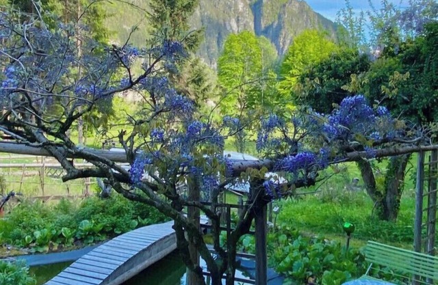 Maison de campagne de Paola - Vanoi Primiero Dolomiti Trentino