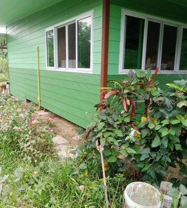 Papa Camping Home and Bungalows