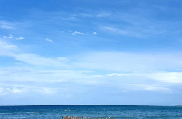 LE PARADIS EST ICI: mer, soleil, nature, gastronomie, détente & ART