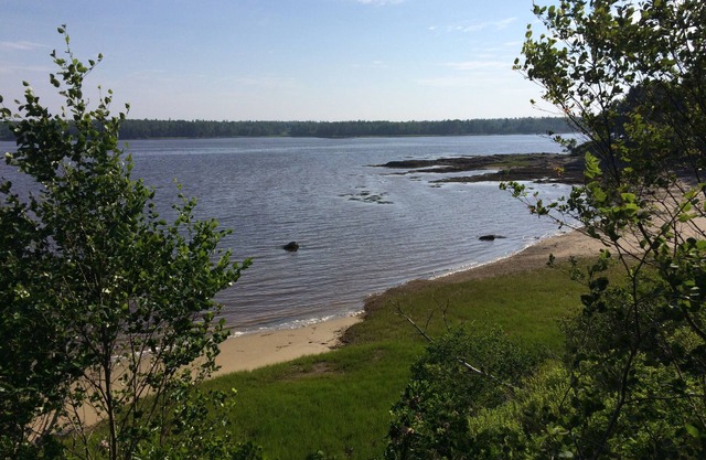 Paradis! Partagez notre péninsule privée sur la baie, à court ou long terme, toute l'année